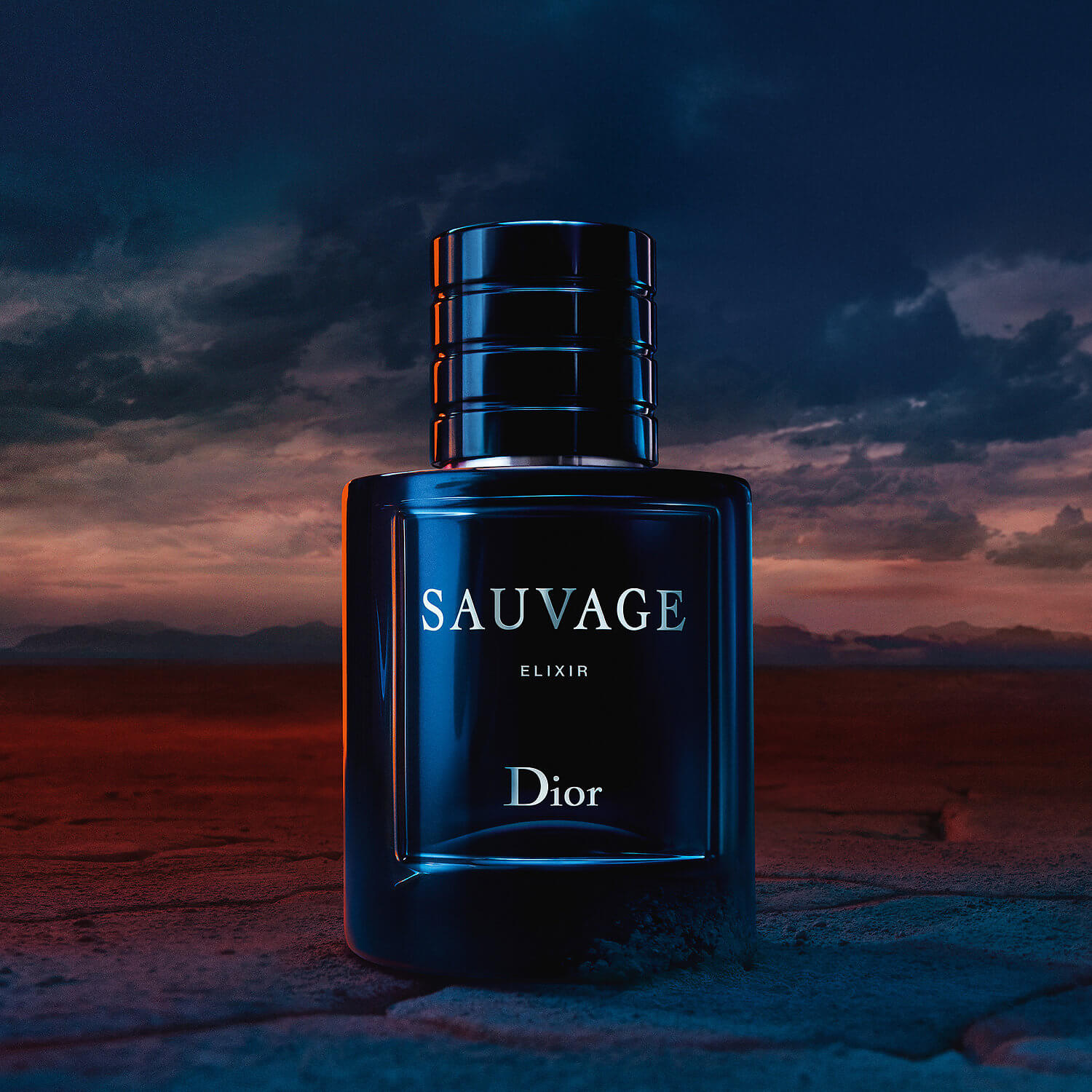 DIOR PERFUMES